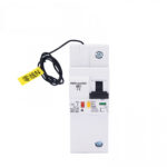 Circuit Breaker 100A-1P (PM)