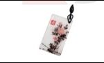 ID / Epoxy Tag