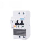 Circuit Breaker 100A-2P (PM)